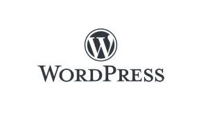 WordPress Booster